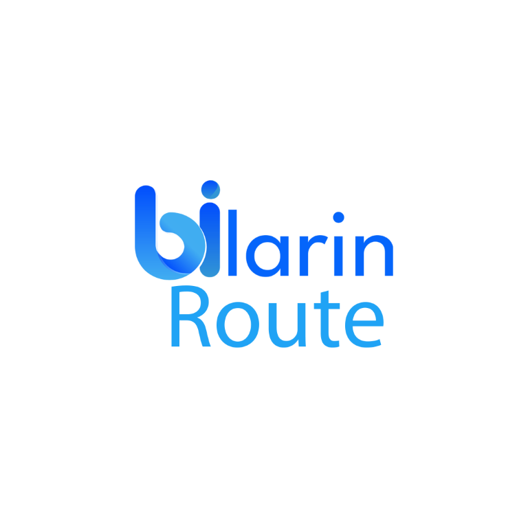 BilarinRoute, tüm kartlı işlemlerinizi algoritmik olarak en avantajlı sağlayıcıya yönlendirir, böylece her işlemden maksimum kazanç sağlarsınız.